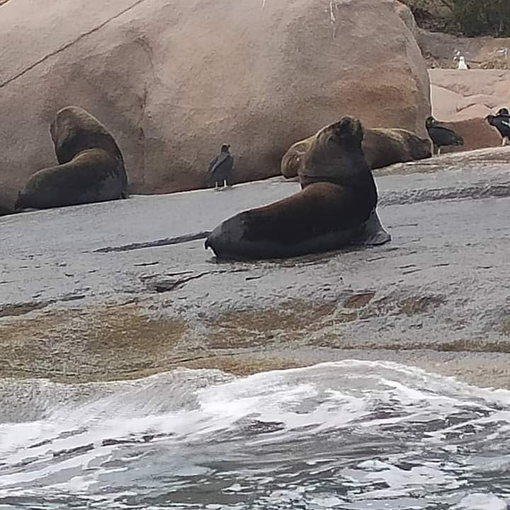 FB_IMG_1634571477253 (1) (1).jpg