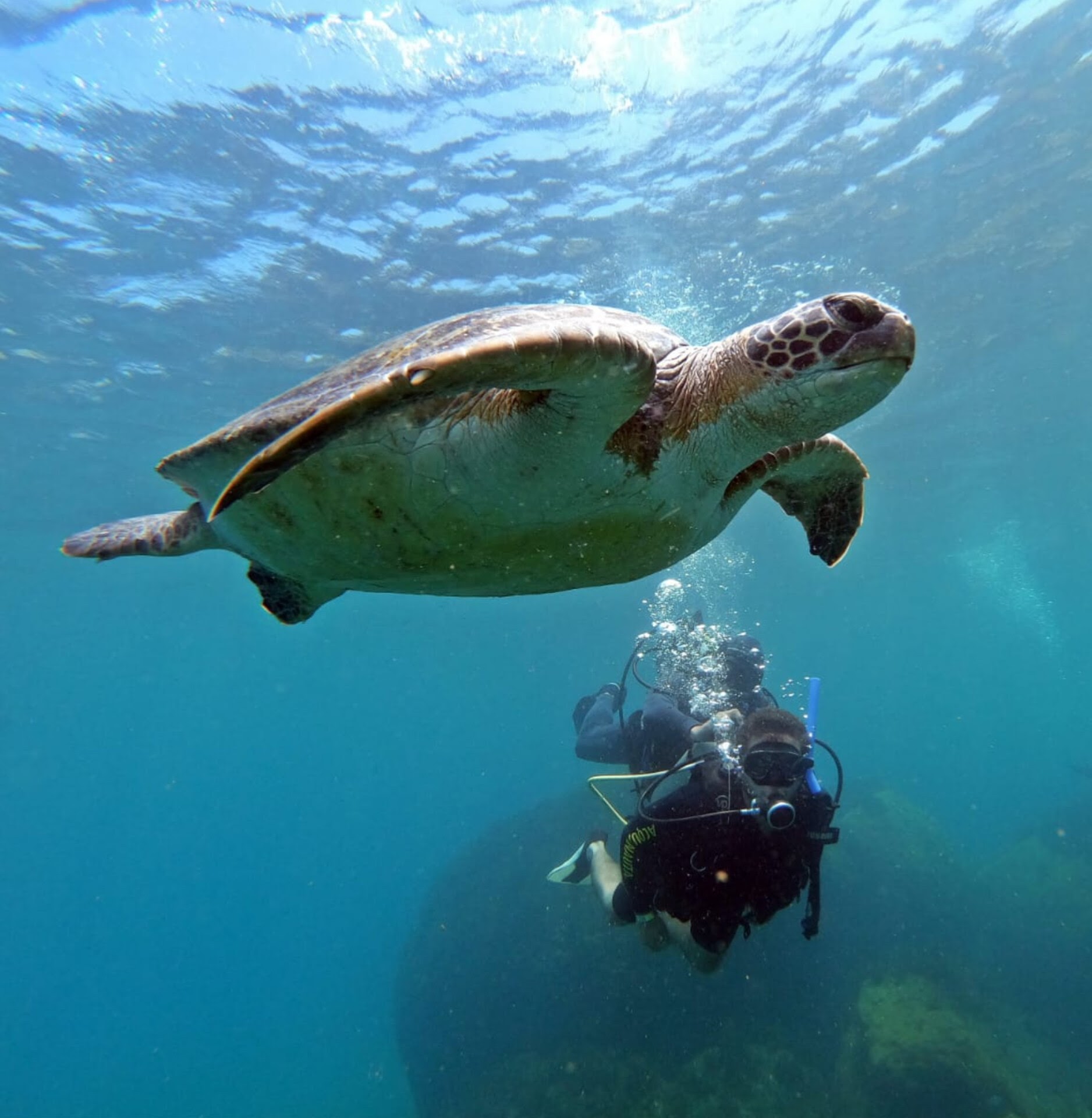 InShot_20230829_123251896 (1).jpg