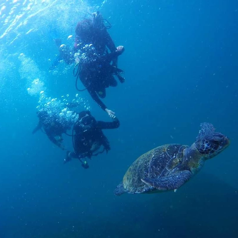 IMG-20210825-WA0016 (1).jpg