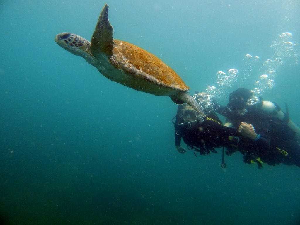 IMG-20230829-WA0007 (1).jpg