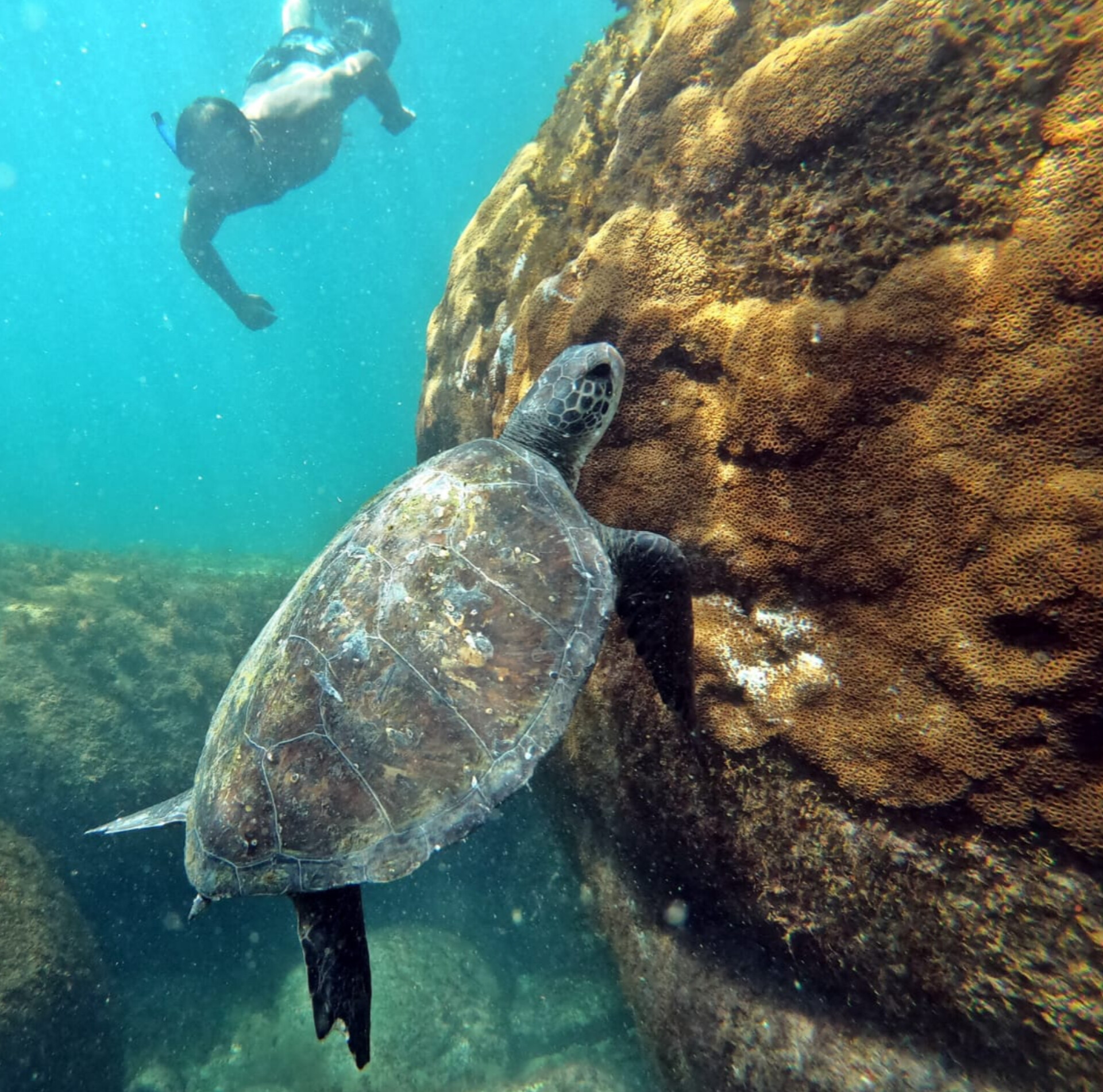 InShot_20230829_124251287 (1).jpg