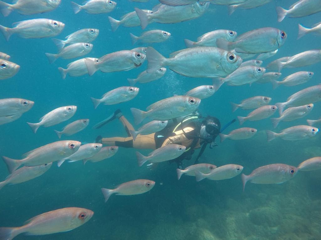 IMG-20230829-WA0008 (1).jpg