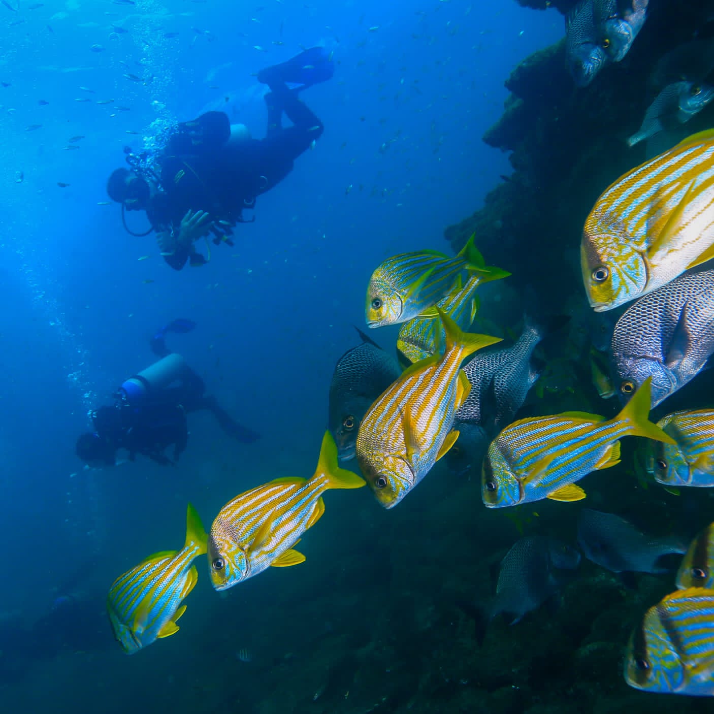 IMG-20221205-WA0093 (1) (1).jpg