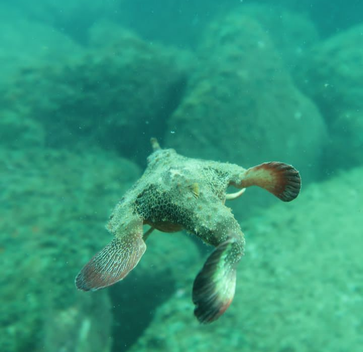 Screenshot_20221130-153442-781 (1) (1) (1) (1).png