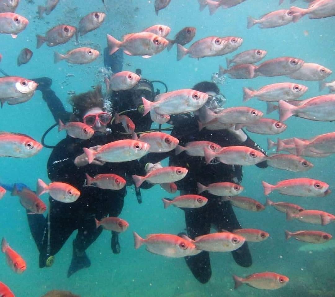 IMG-20211001-WA0012 (1).jpg