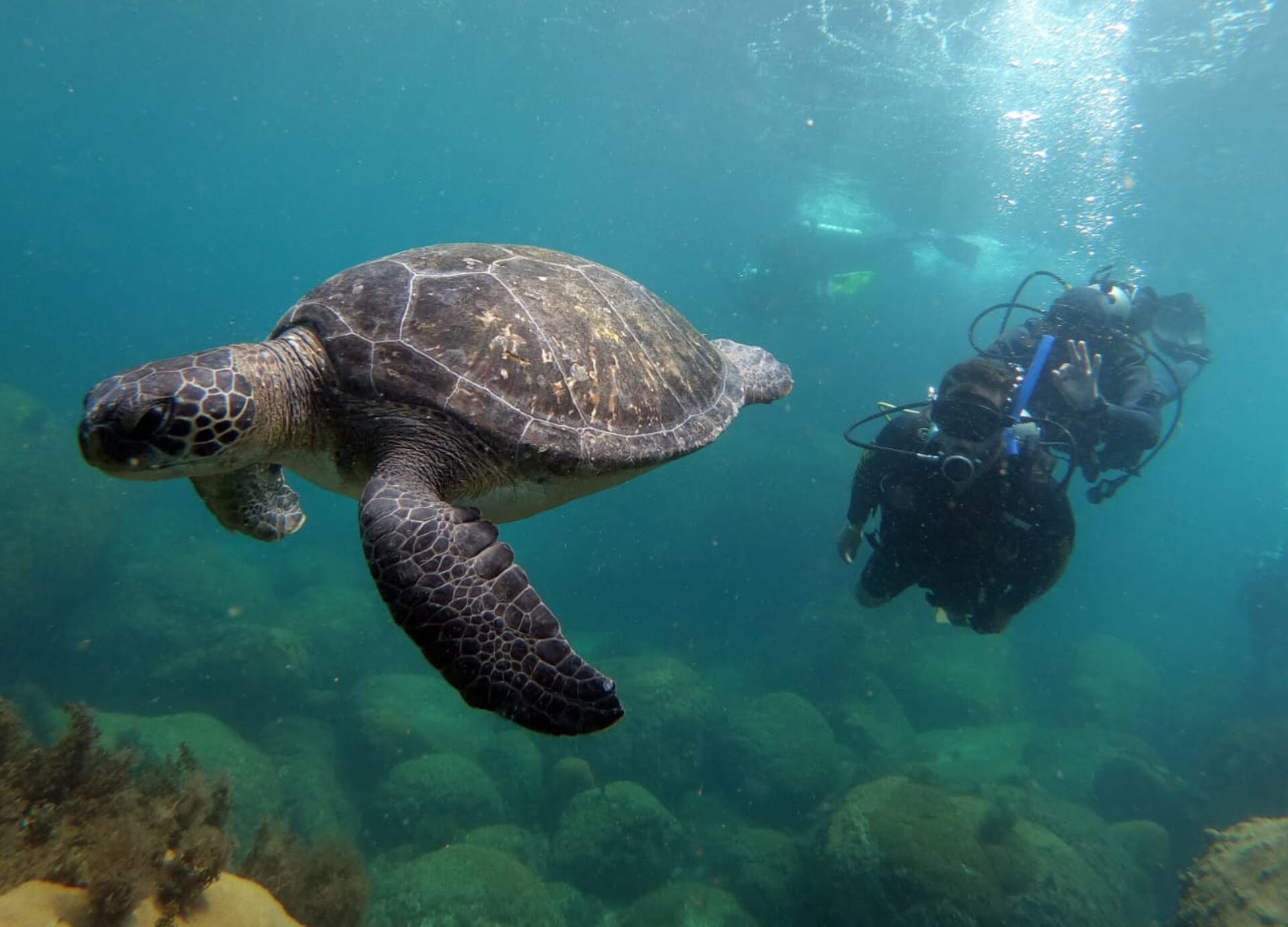 InShot_20230829_122759504 (1).jpg